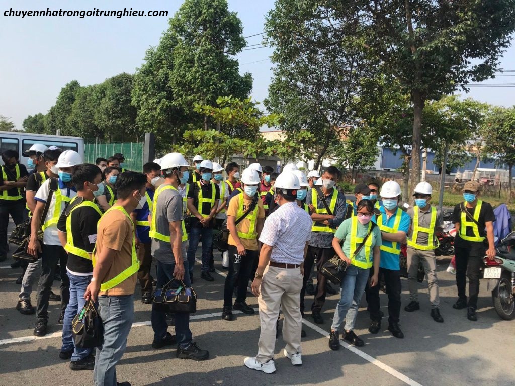 dịch vụ bốc xếp thủ đức