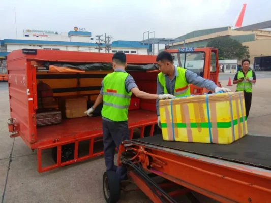 bốc xếp quận gò vấp