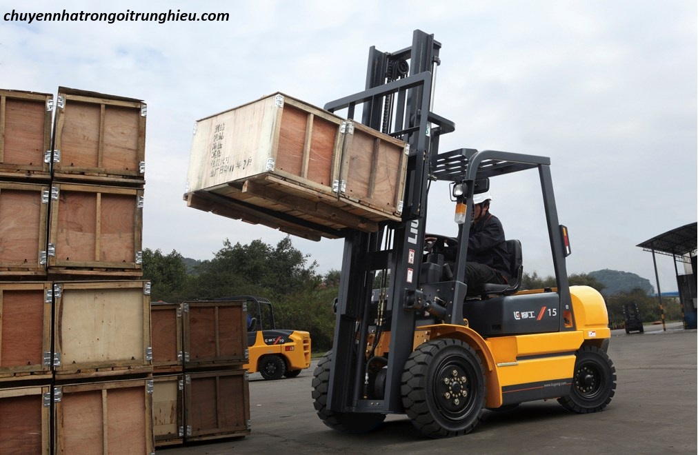 dịch vụ bốc xếp thủ đức chuyên nghiệp