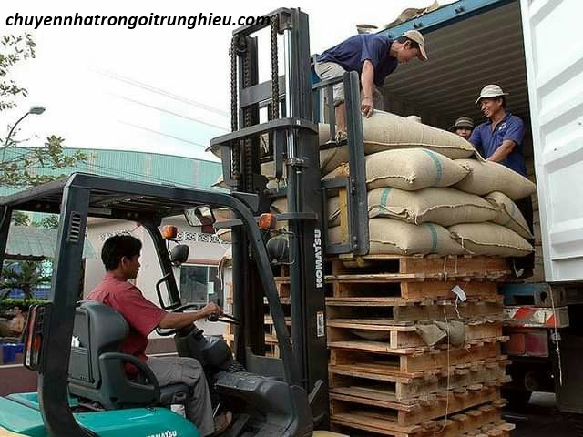 dịch vụ bốc xếp huyện củ chi