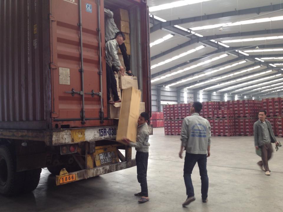 bốc xếp huyện cần giờ giả rẻ