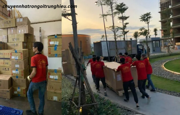 bốc xếp huyện hóc môn chuyen nghiệp