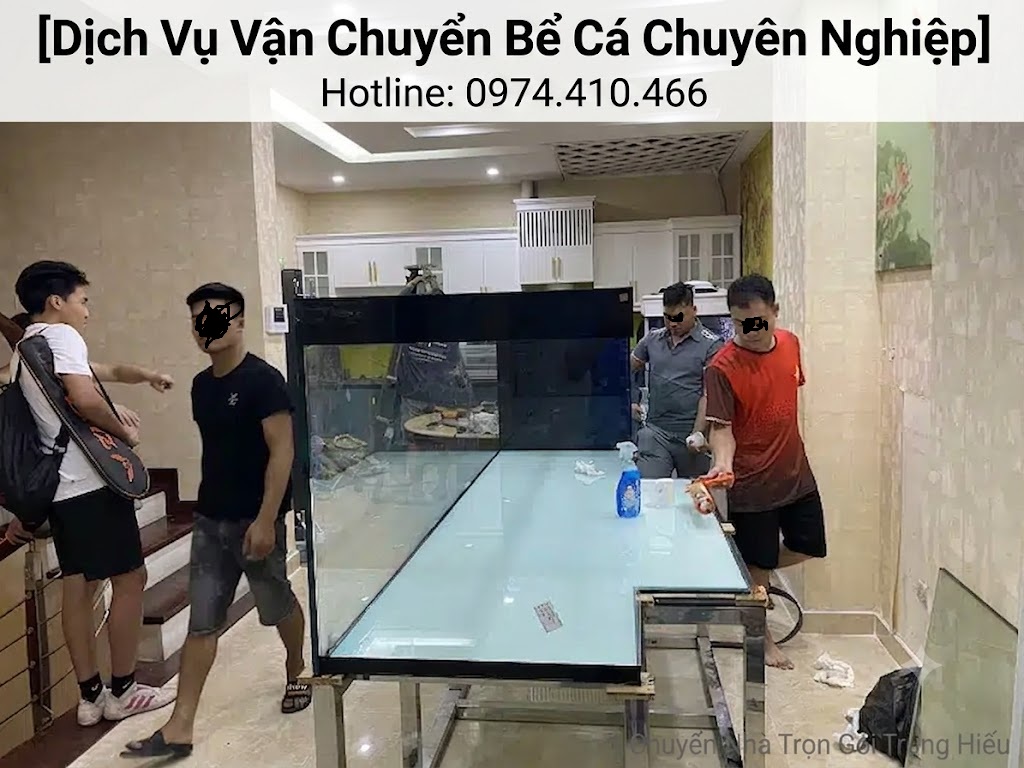 dịch vụ chuyển bể cá khi chuyển nhà chuyên nghiệp