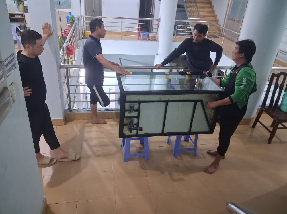 dịch vụ chuyển bể cá khi chuyển nhà chuyên nghiệp